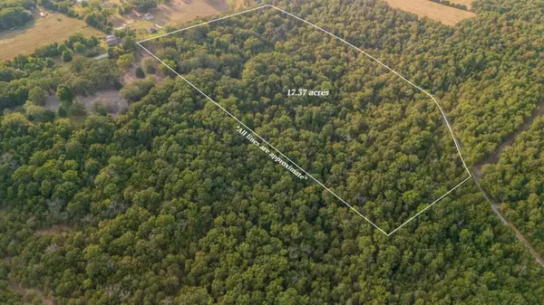 Kissee Mills, MO 65680,1755 State Hwy O- Tract C