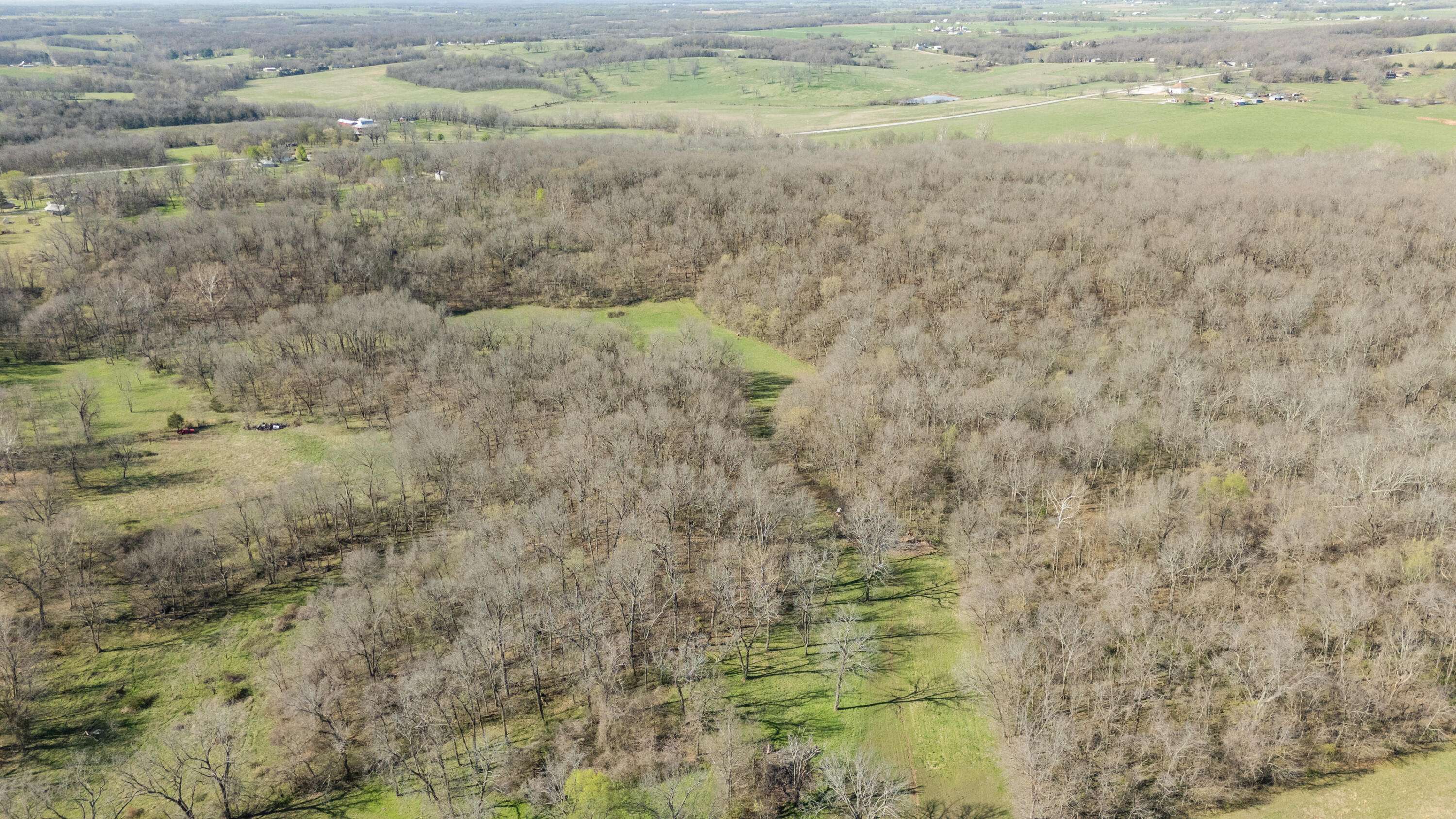 Walnut Grove, MO 65770,000 N Farm Rd 69