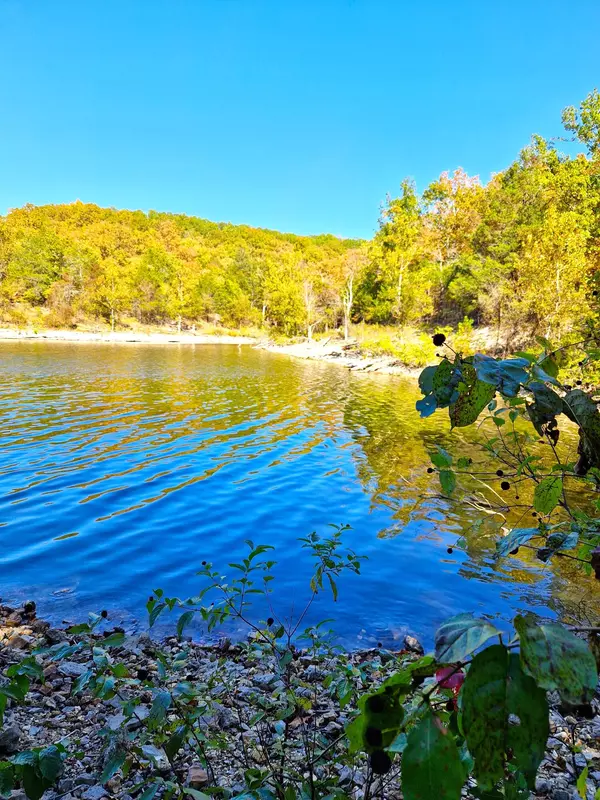 Ridgedale, MO 65739,Lot 11 Newton Road