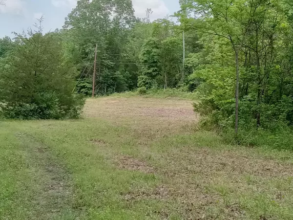 Mansfield, MO 65704,000 Box 110 Rr2