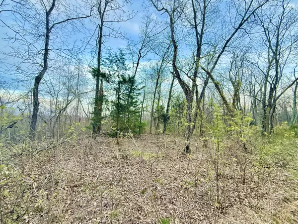 Huggins, MO 65484,000 Huggins Road