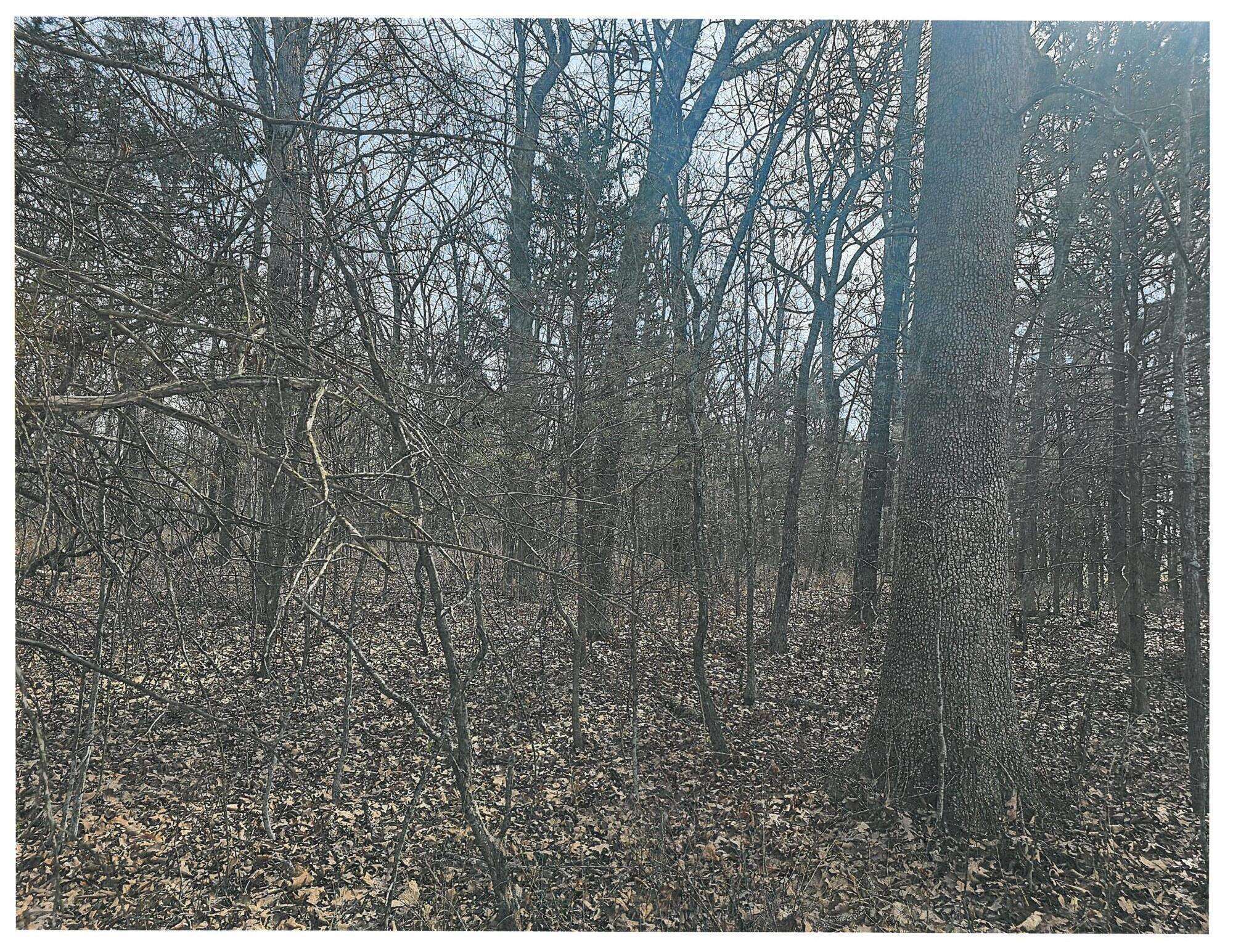 000 Pomme De Terre Road, Branson, MO 65616