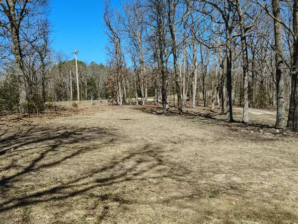 Dixon, MO 65459,17740 Hwy 133