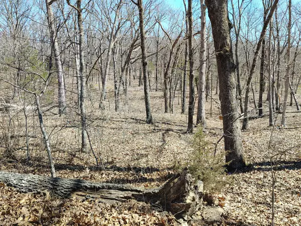 Dixon, MO 65459,17740 Hwy 133