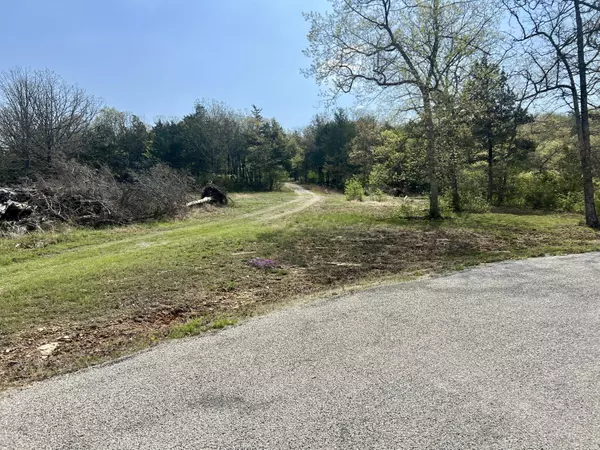155 Lake Terrace Road, Kissee Mills, MO 65680