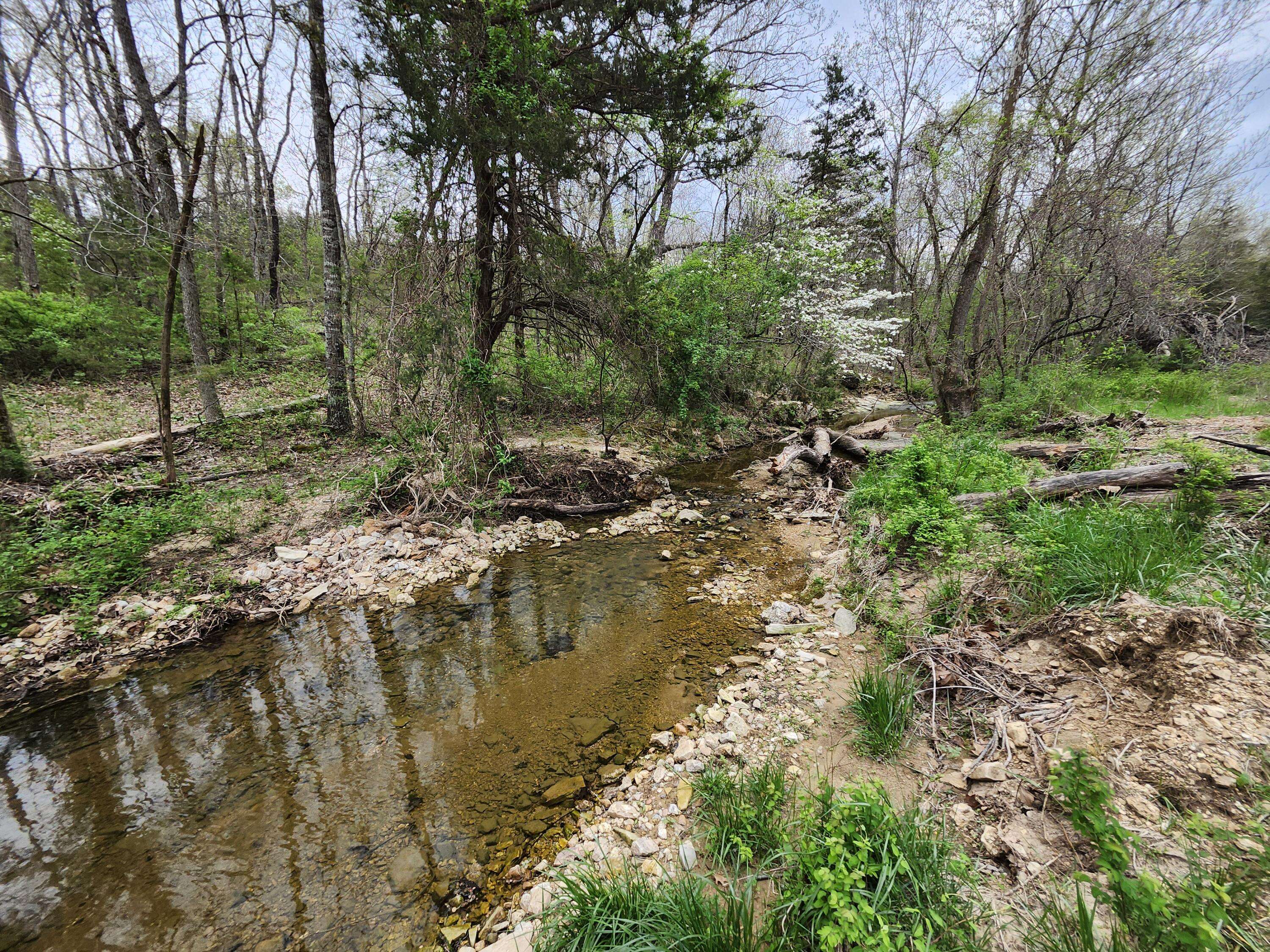 Tbd Gravelpoint Road, Mountain Grove, MO 65711