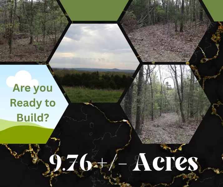 000 Lone Pilgrim, Taneyville, MO 65759