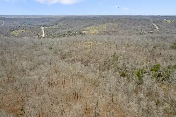 Bruner, MO 65620,Lot 6 Scenic Heights