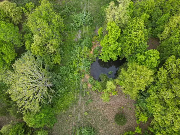 Norwood, MO 65717,629 S Eagle Street