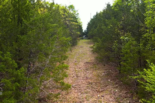 Kissee Mills, MO 65680,Tbd Catfish St & Drum St
