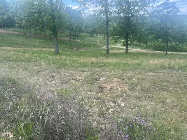 Golden, MO 65658,000 Farm Road 2250