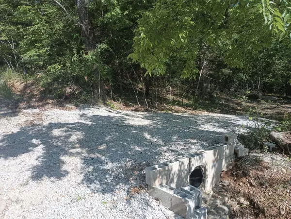 Lampe, MO 65681,112 Mill Bridge