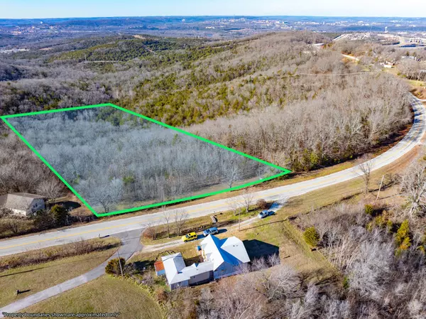 Hollister, MO 65672,0 Freeman Lane