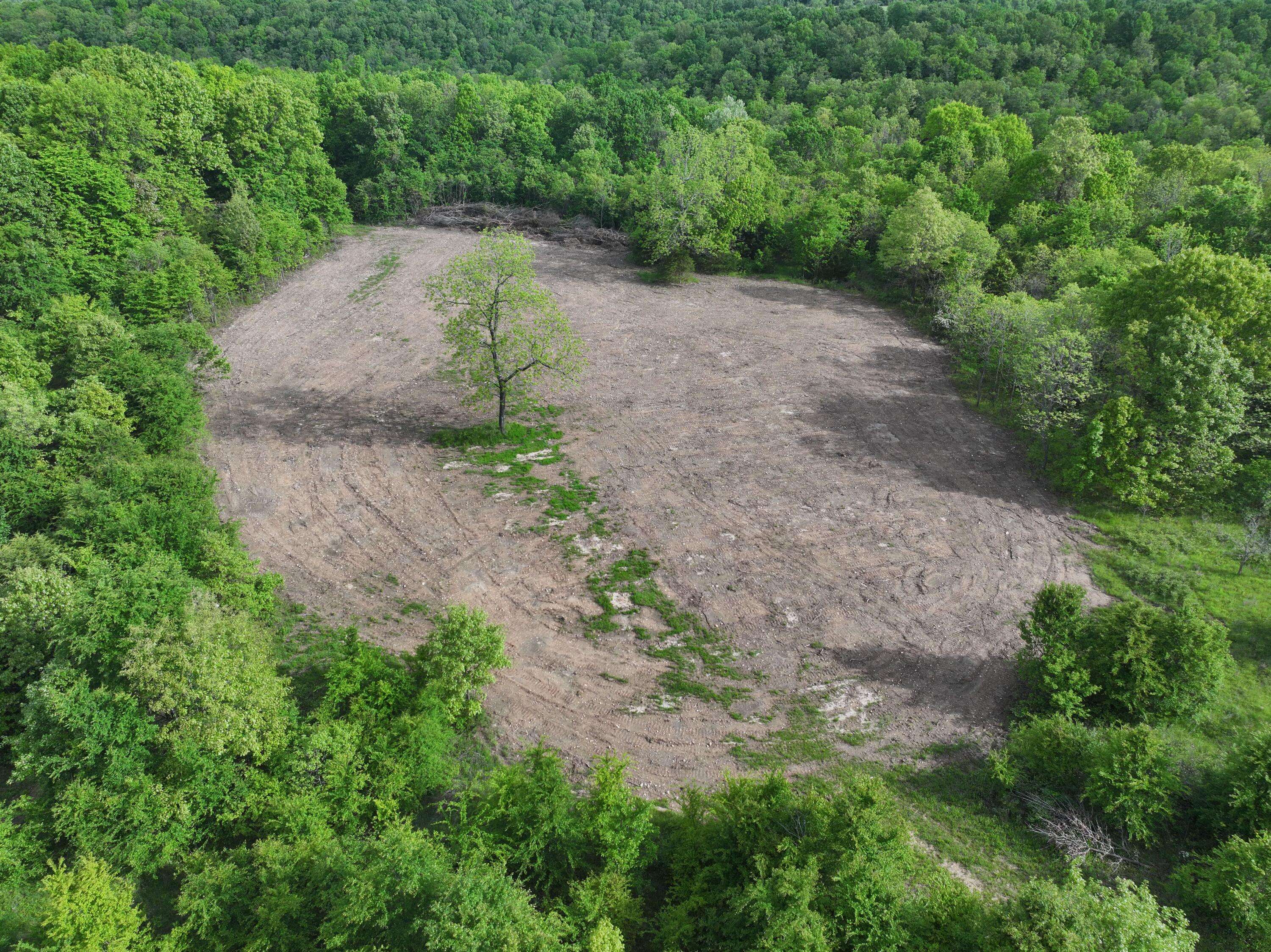Rocky Comfort, MO 64861,143 Horton Road