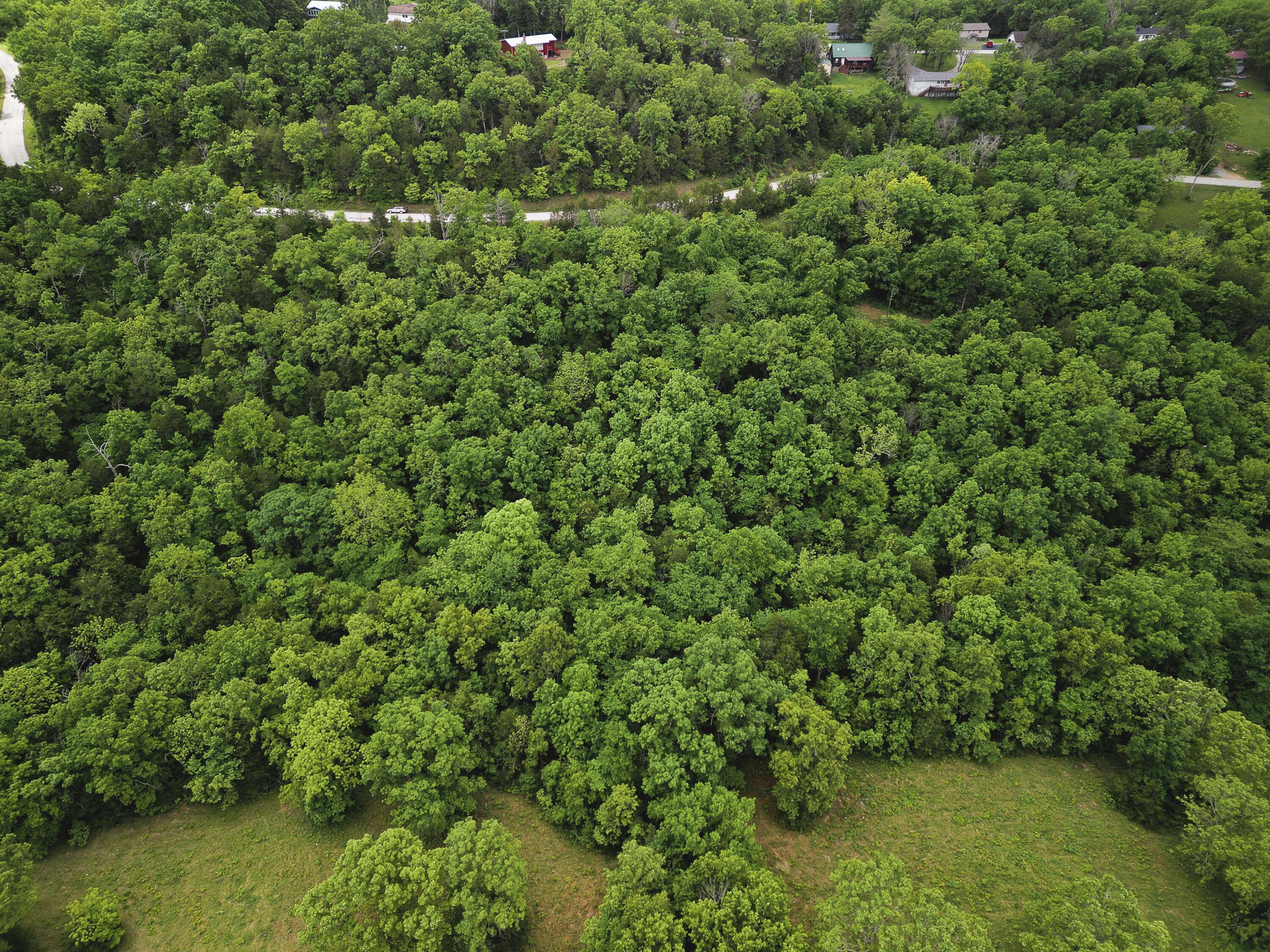 Gainesville, MO 65655,000 Bulldog Lane