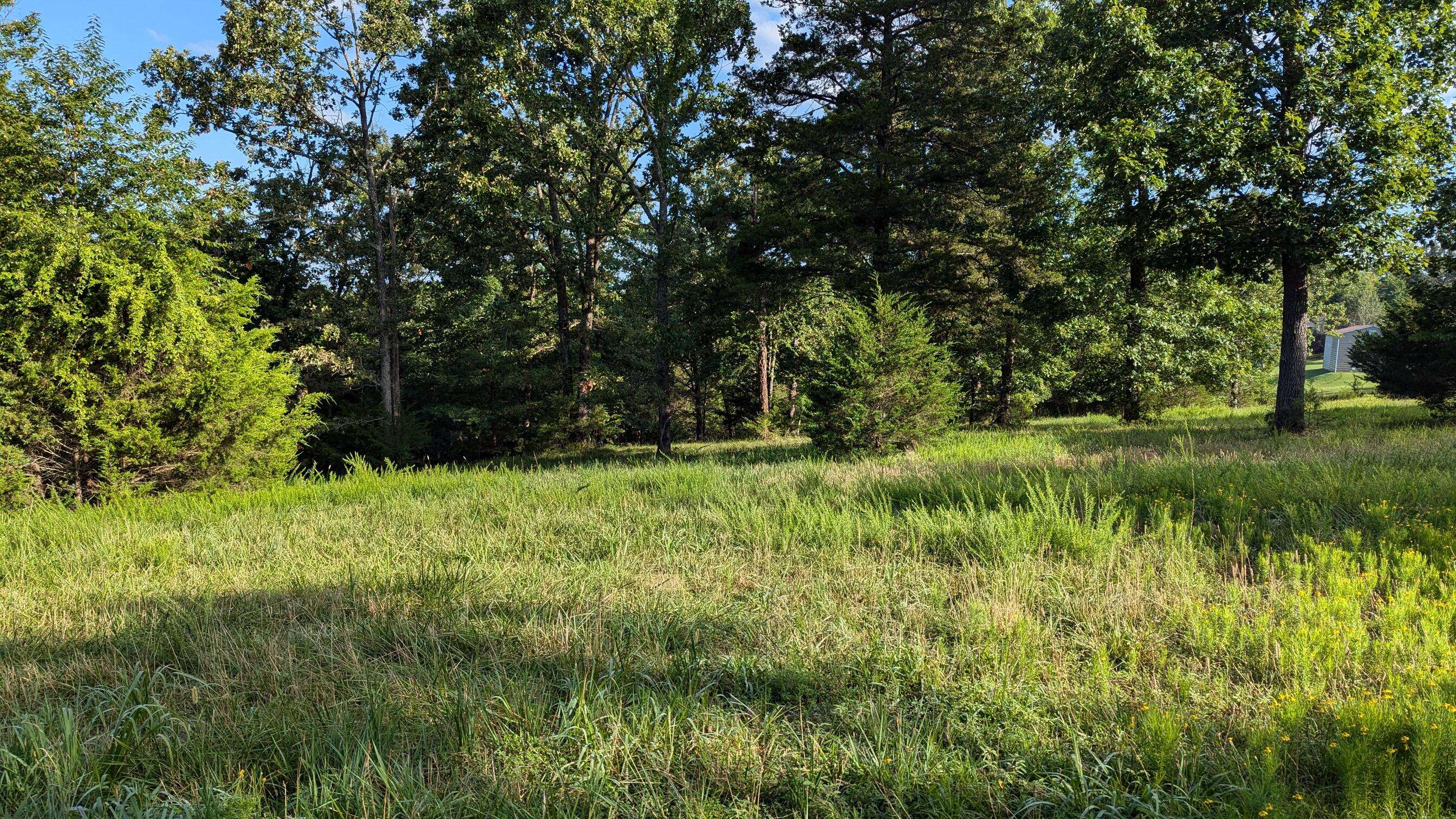 Kissee Mills, MO 65680,1145 Lake Point Road