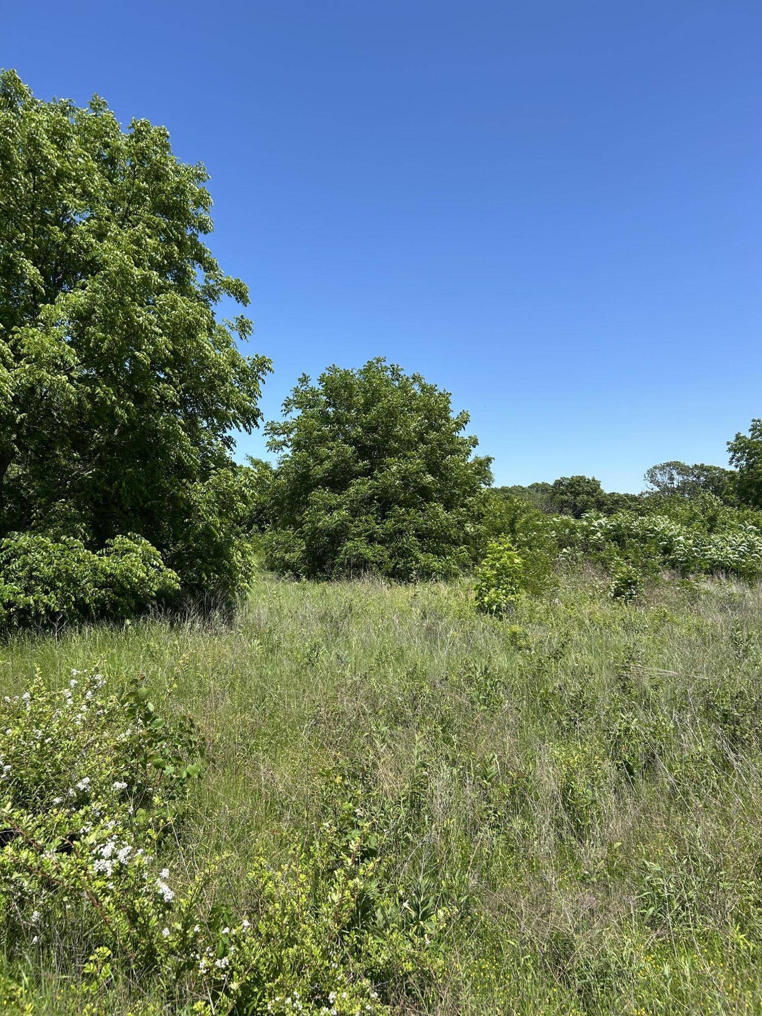 10685 S 1215 Road, Stockton, MO 65785