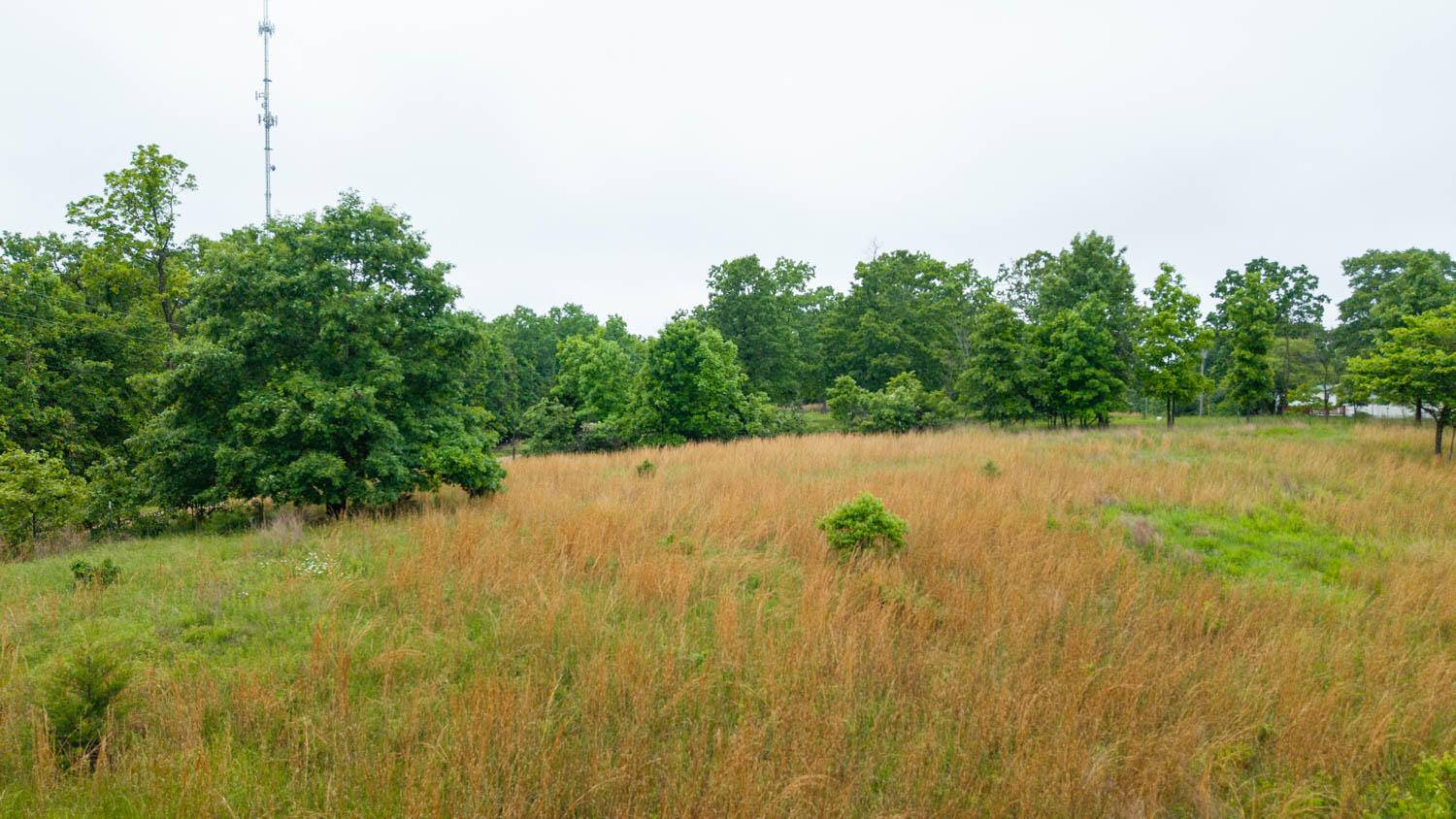 000 County Road 302, Alton, MO 65606