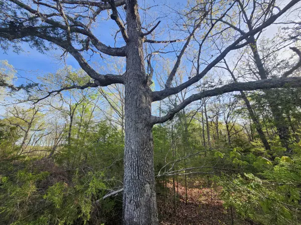 Summersville, MO 65571,3480 Bethel Drive
