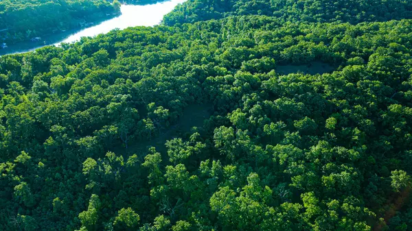 Edwards, MO 65326,Tbd Sandy Road