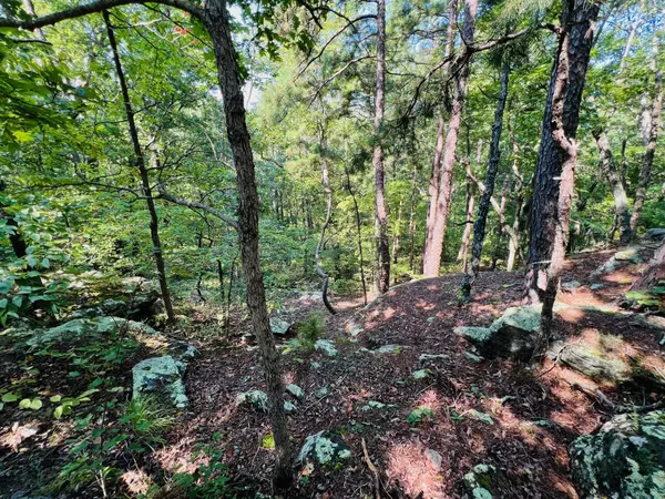 000 Boiling Springs Road, Licking, MO 65542