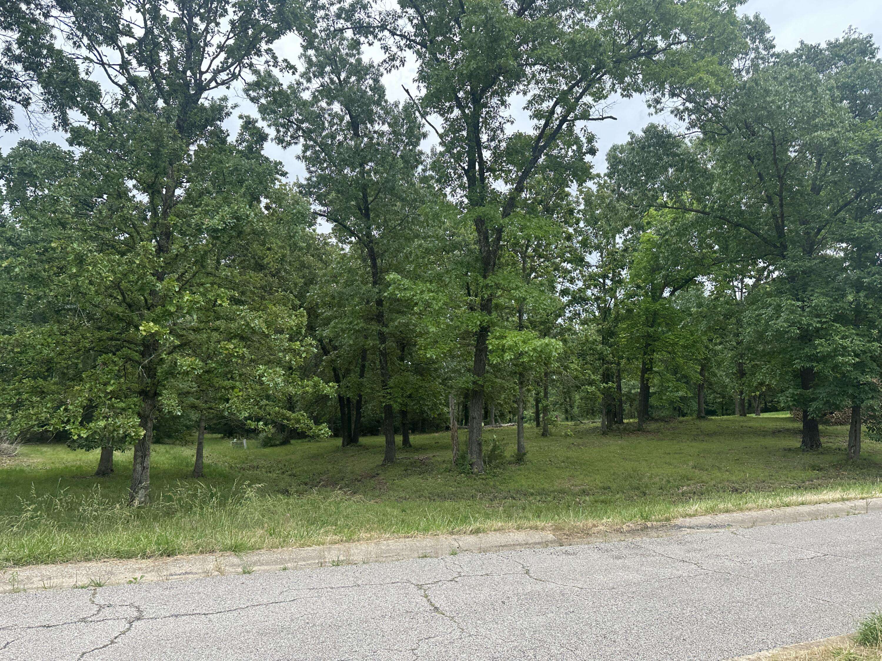 West Plains, MO 65775,2035 Roberta Drive