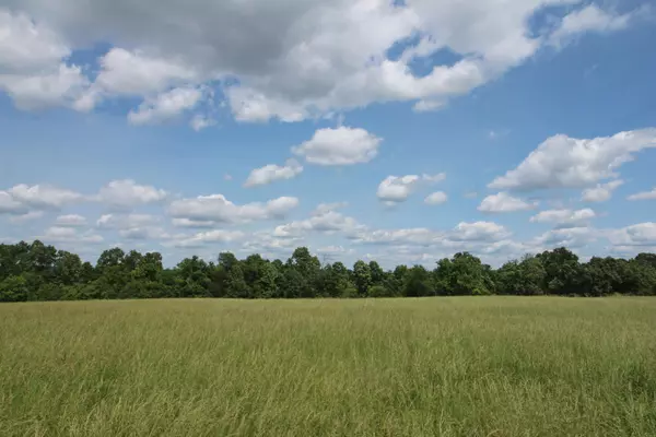 000 Couty Road 7830, Caulfield, MO 65626
