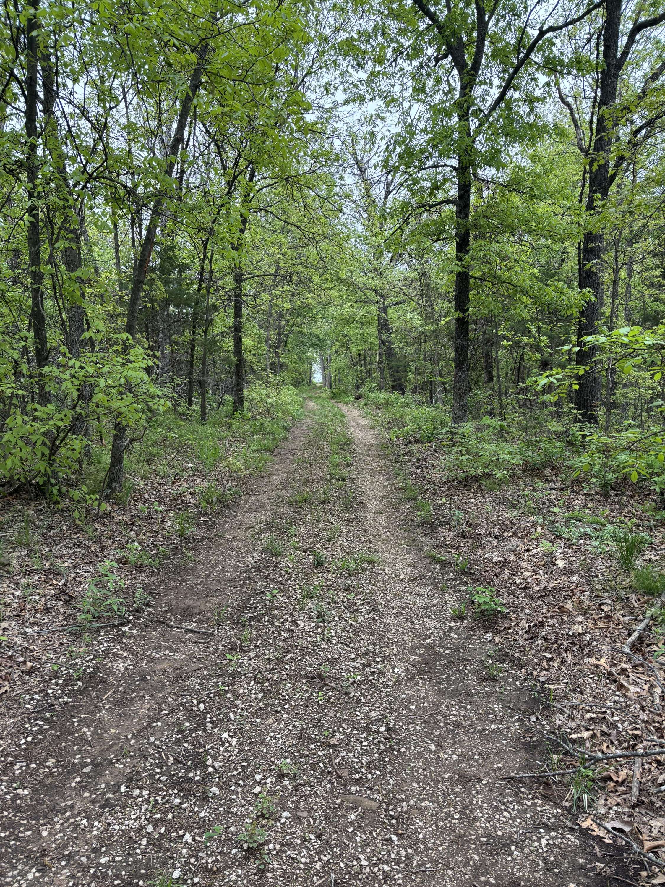 000 Pp Hwy, Collins, MO 64738