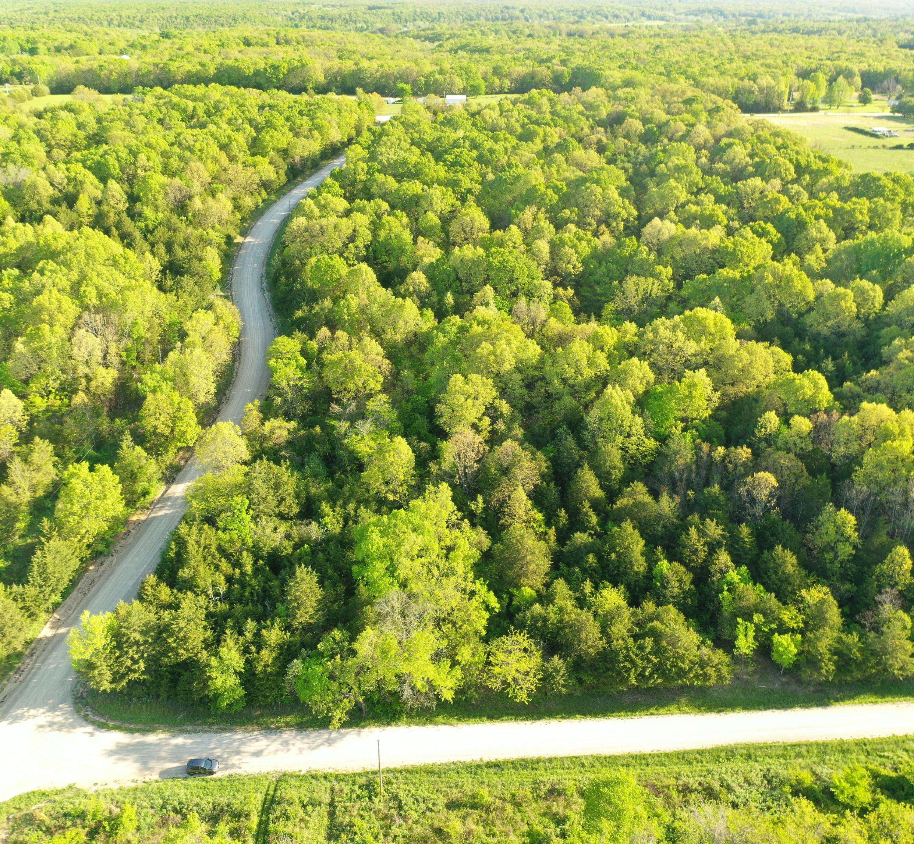 000 Depot Road, Fordland, MO 65652