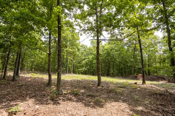 Elk Creek, MO 65464,000 Highway Y Elk