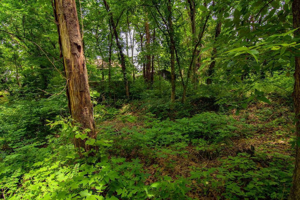Hollister, MO 65672,2458 Iowa Colony Road