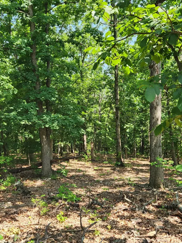 Lot 1 Oriole Lane, Noel, MO 64854