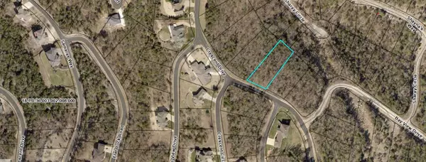 Hollister, MO 65672,237 Crescent Drive