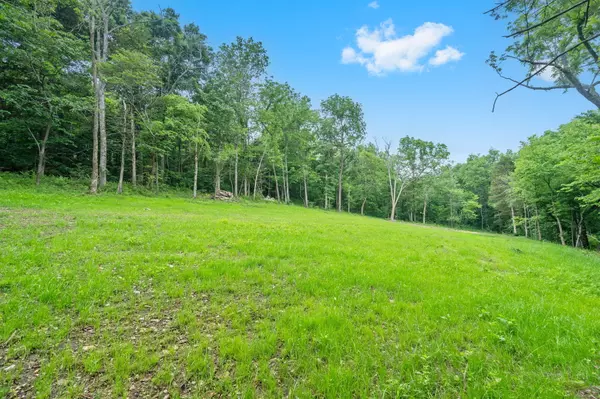 Brookline, MO 65619,000 W Old Limey Road