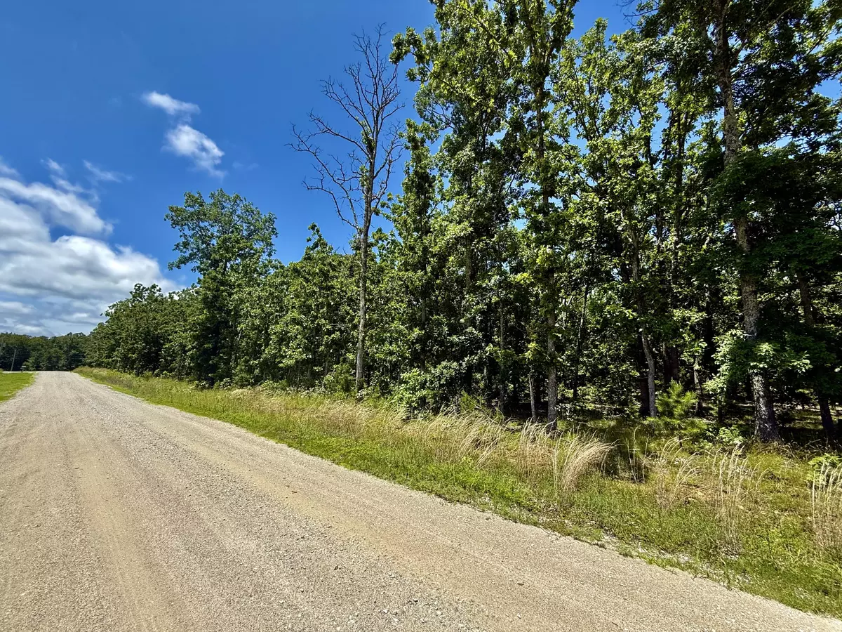 Licking, MO 65542,000 John David Drive