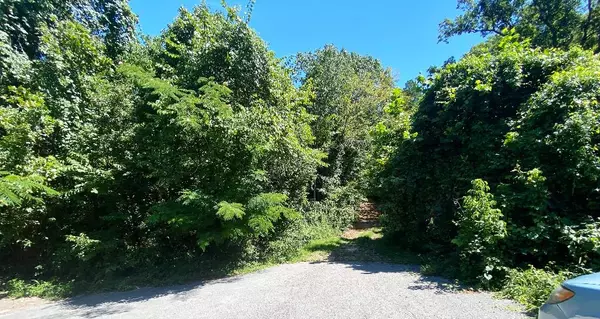 Blue Eye, MO 65611,19 Moore Lane