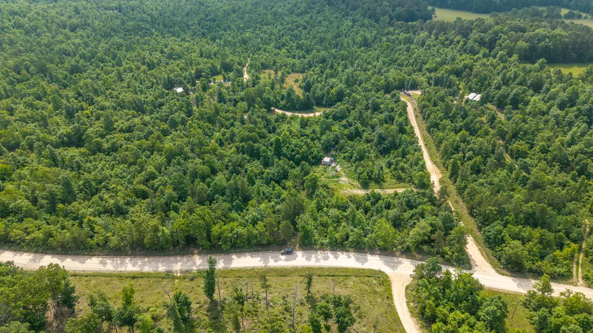 Birch Tree, MO 65438,10916 Stella Way