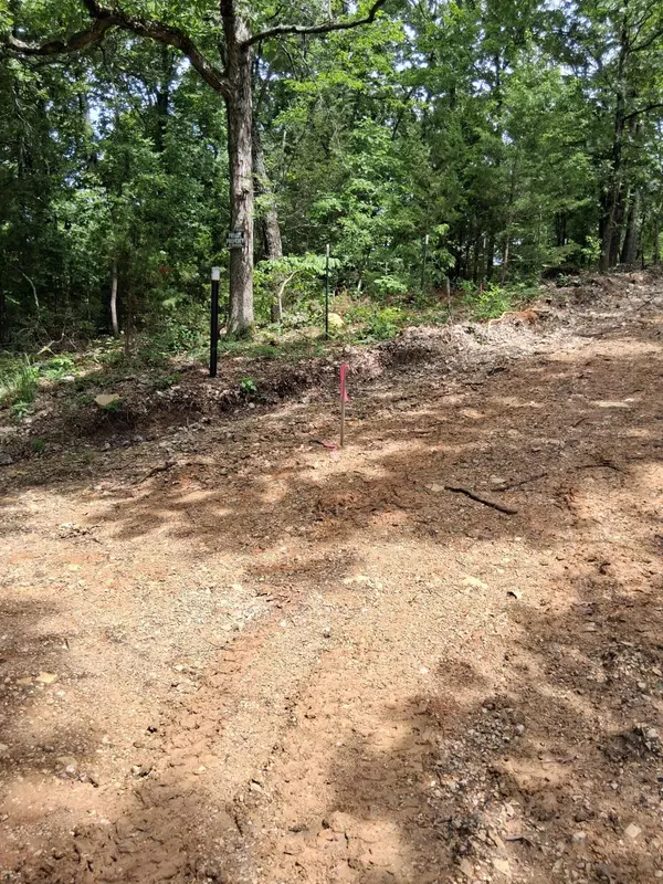 Dora, MO 65637,Tbd County Road 350