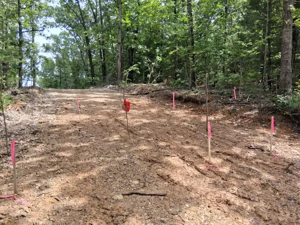 Dora, MO 65637,Tbd County Road 350