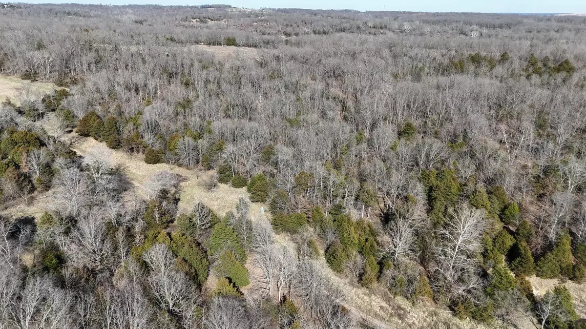 Hartville, MO 65667,Tract 5 38 Highway