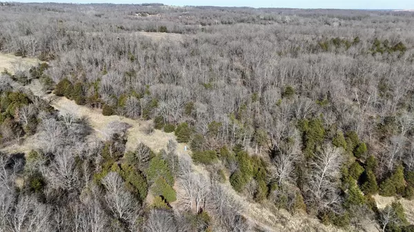 Tract 5 38 Highway, Hartville, MO 65667