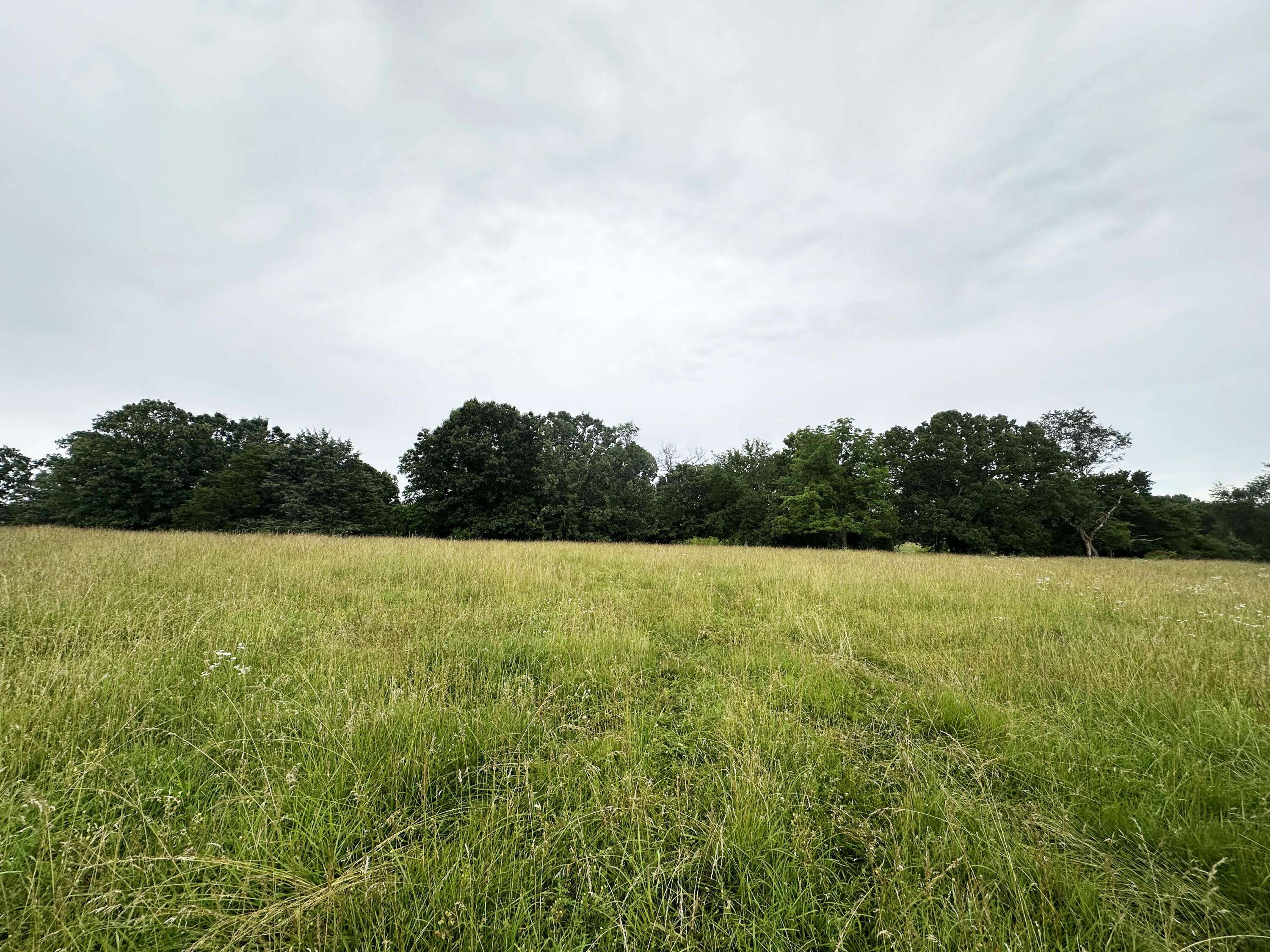 73 Gamble Road, Billings, MO 65610