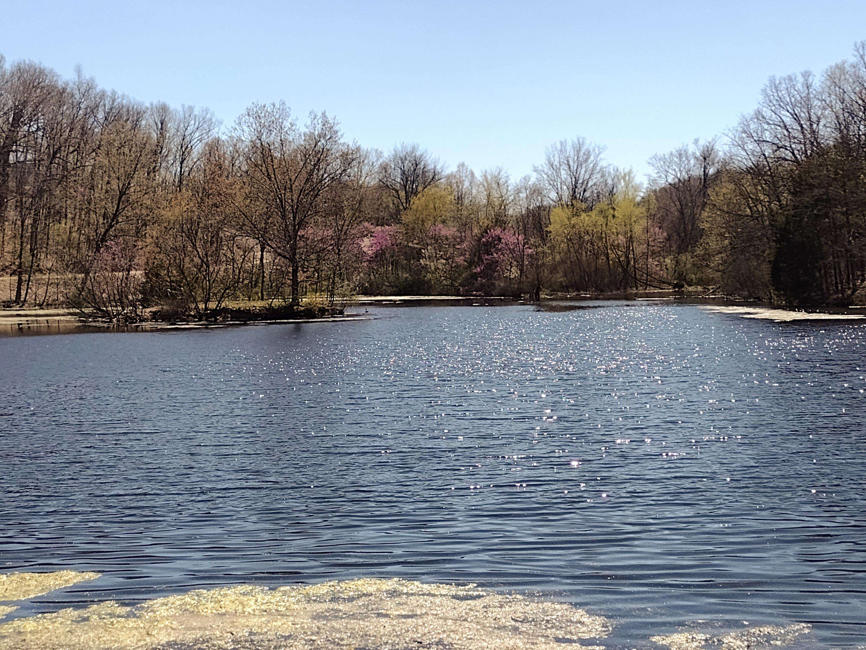 420 Lake Valley Drive, Seymour, MO 65746