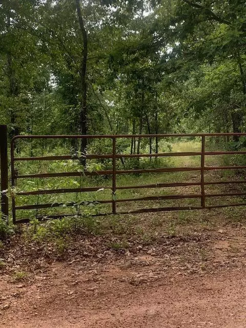 000 County 76-251 Road, Vanzant, MO 65768