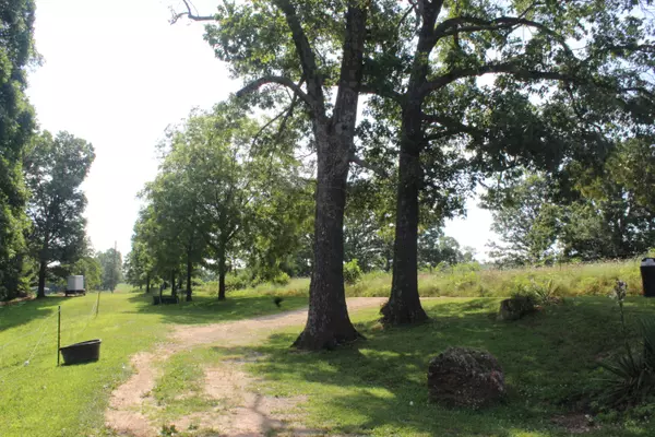 West Plains, MO 65775,7019 County Road 1320