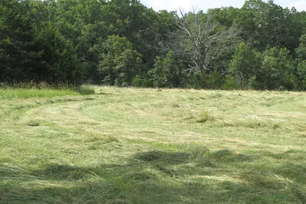 Conway, MO 65632,1 Owl Trail