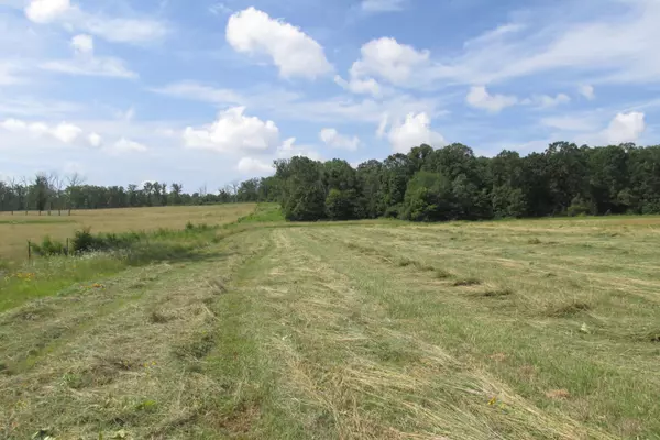 Conway, MO 65632,2 Owl Trail