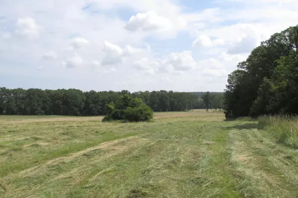 Conway, MO 65632,2 Owl Trail