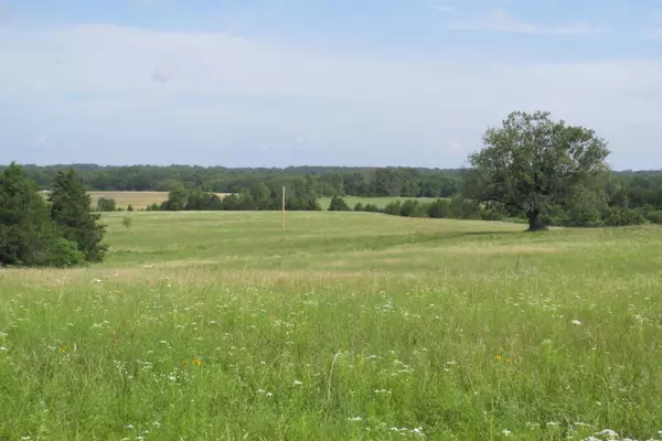 Conway, MO 65632,3 Owl Trail