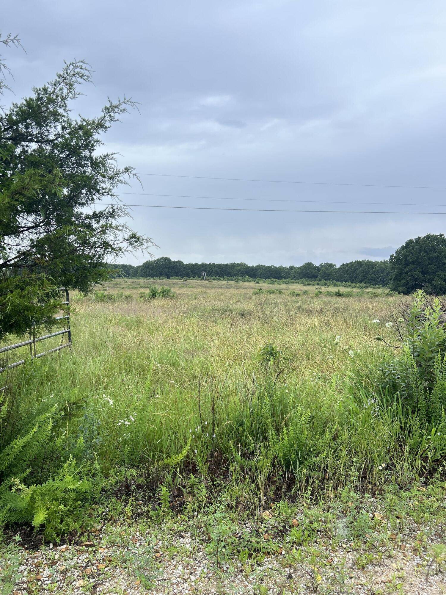Tbd SE 1325, Weaubleau, MO 65774